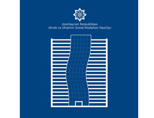 Məşğulluq xidmətləri sahəsində yeni innovativ layihələr hazırlanır