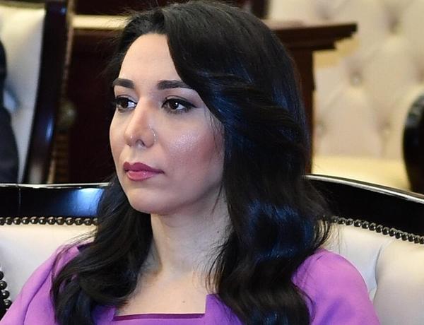 Ombudsman Tovuzda monitorinq aparan zaman ermənilər atəş açdılar