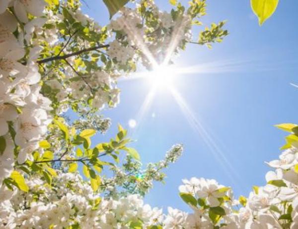 Avqust ayına olan hava proqnozu açıqlandı
