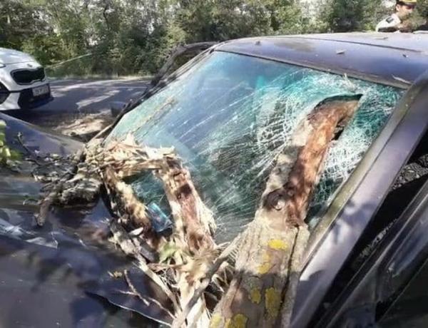 Şabran rayonunda “Mercedes” markalı avtomobilin ağaca çırpılması nəticəsində iki nəfər öldü