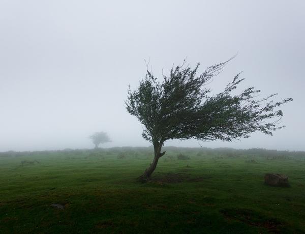 Hava şəraiti ilə bağlı xəbərdarlıq edildi
