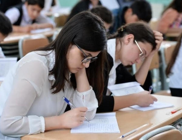 Ali məktəblərə ixtisas seçimi başlayır