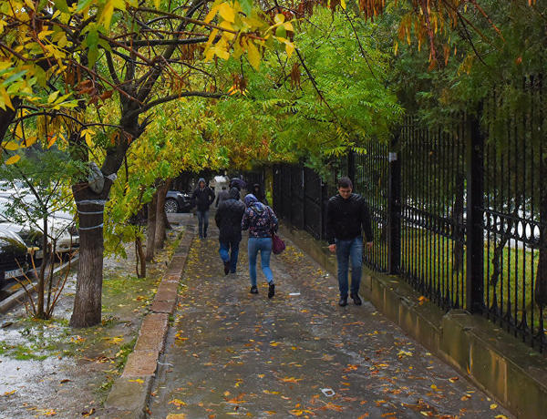 Sabahın hava proqnozu açıqlandı