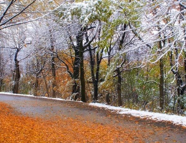 Dekabr ayına olan hava proqnozu açıqlandı