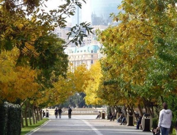 Sabahın hava proqnozu açıqlandı