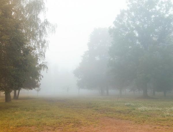 Azərbaycanda sabaha gözlənilən hava şəraiti açıqlandı