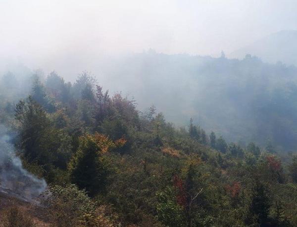 Hirkan Milli Parkında yanğın başladı