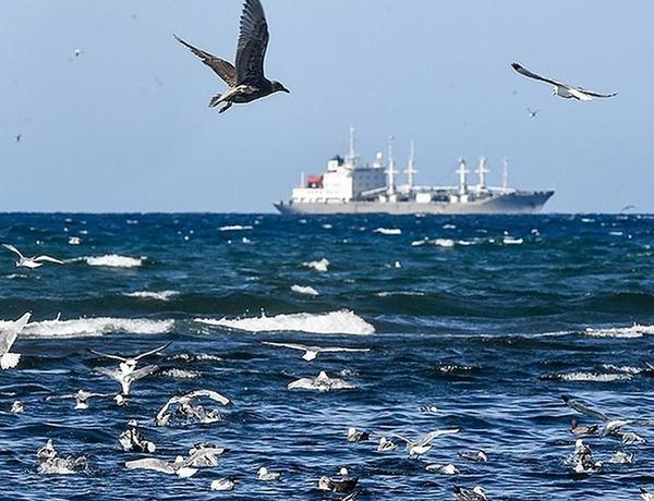 Dəniz quldurları Türkiyə gəmisini ələ keçirib, bir azərbaycanlı öldürülüb, 15 türkiyəli girov götürülüb