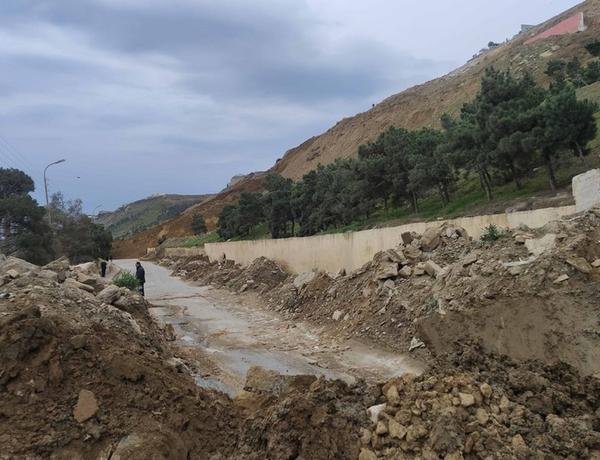 Nazirlik Badamdardakı sürüşmənin səbəblərini açıqladı