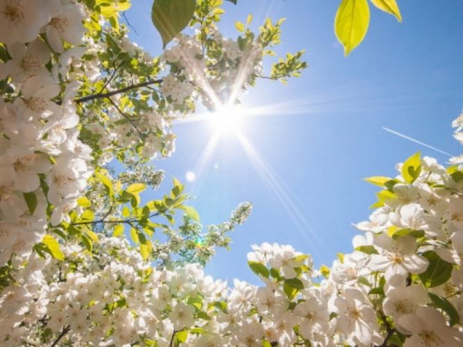 Azerbaijan weather forecast for March 30