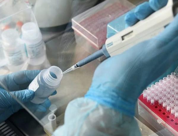 TƏBİB koronavirusun müalicə protokollarını yaydı
