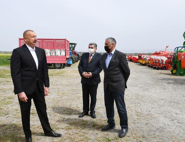 Prezident Hacıqabulda fermer Elşən Xəlilovun pambıq tarlasında səpin prosesini izlədi
