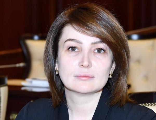 Deputat intihar hadisələrinin artmasından danışdı
