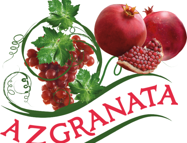 “AZGRANATA” MMC təltif olundu