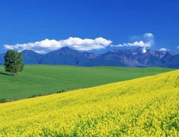 May ayının hava proqnozu
