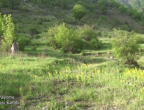 Видеокадры из села Гасымбинеси Кельбаджарского района