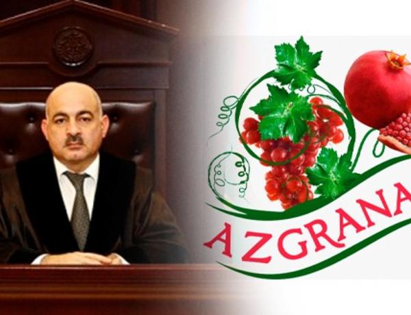 “Hakim heç bir hüquqa əsaslanmadan qətnamə qəbul etdi” –