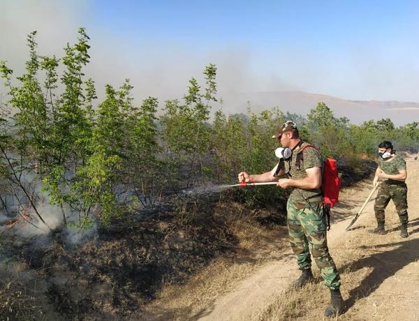 Şimal bölgəsində yanğının söndürülməsinə 270 canlı qüvvə və helikopter cəlb edildi –