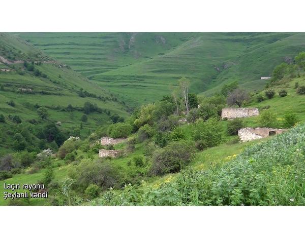 Видеокадры из села Шейланлы Лачинского района