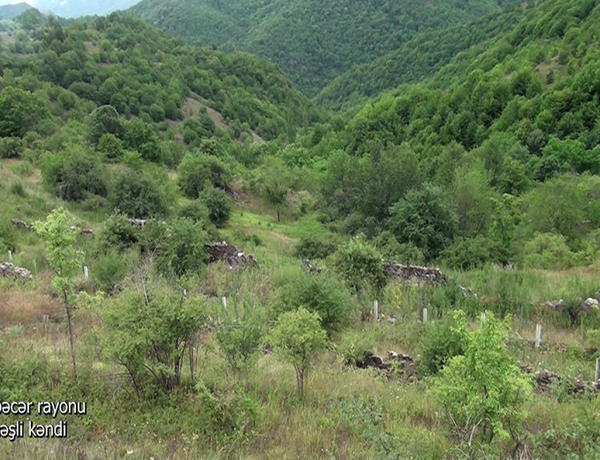 Footage from liberated Gunashli village of Azerbaijan’s Kalbajar district