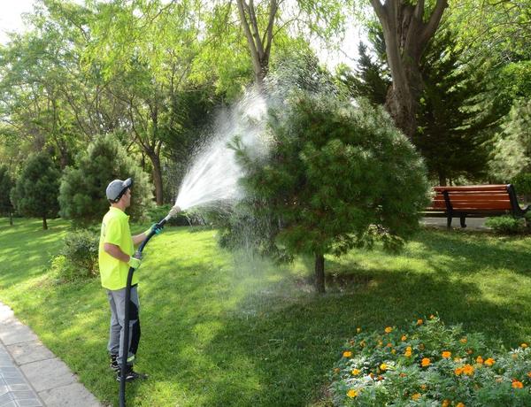 Bu gün Bakıda 546 küçə dezinfeksiya edildi –