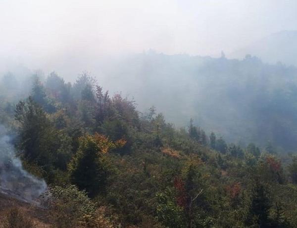 Oğuzda dağlıq ərazidə yanğın başladı