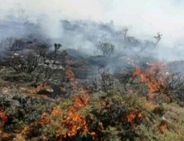 Ağsuda dağlıq ərazidə yanğın söndürülüb