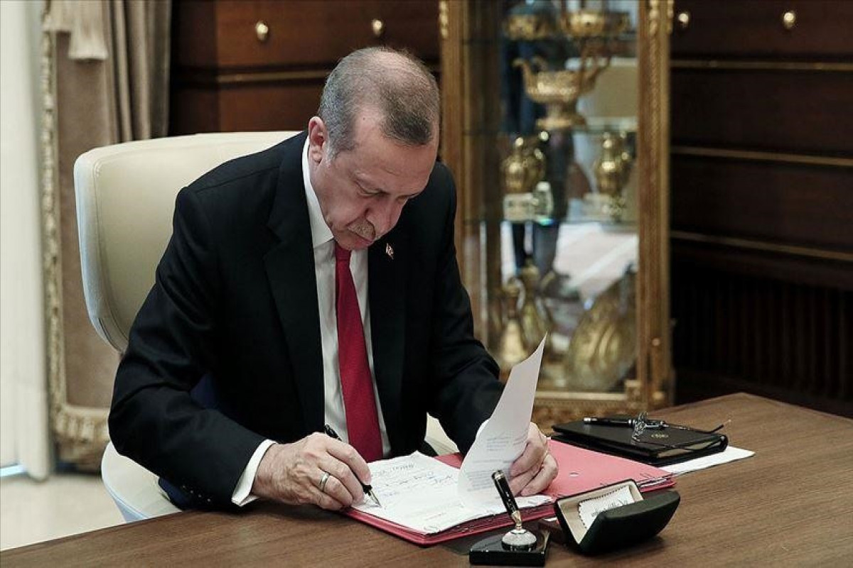 Erdogan confirms document, signed between Azerbaijan and Turkey on digital trade