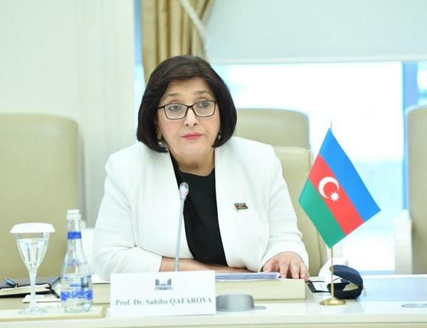 Сахиба Гафарова: Постоянные провокации Армении на границе препятствуют обеспечению мира