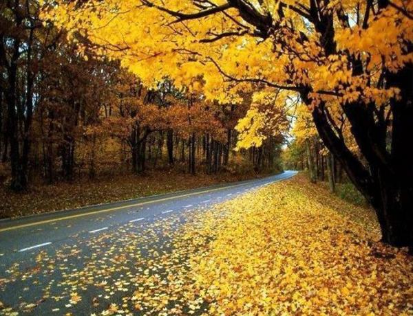 Sabahın hava proqnozu açıqlandı