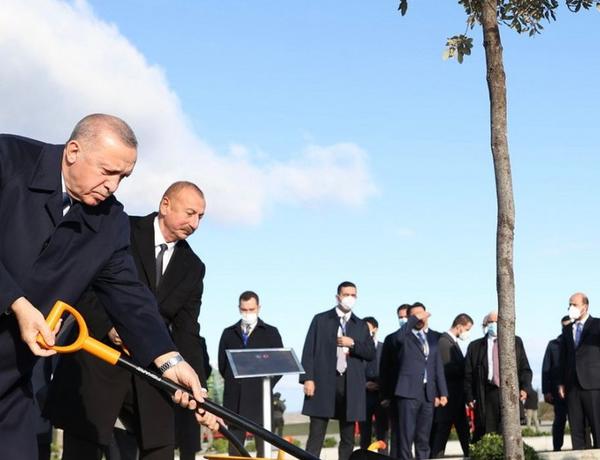 Лидеры Азербайджана и Турции посадили дерево в Зангилане