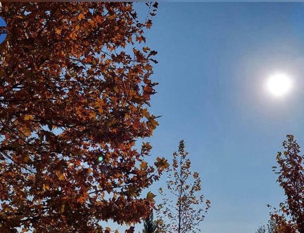 Sabahın hava proqnozu açıqlandı