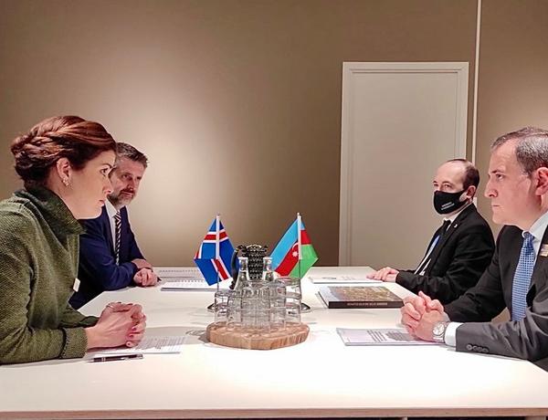 Исландские компании готовы работать в Азербайджане