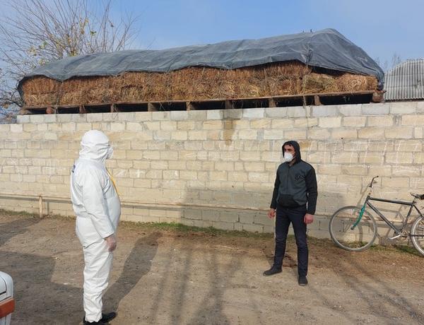 Sabirabadda koronavirus xəstəsinin törətdiyi əməl araşdırılır