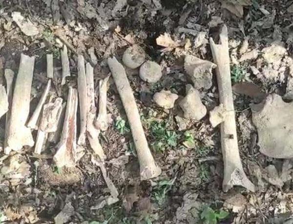 В селе Фаррух обнаружены останки еще нескольких азербайджанцев