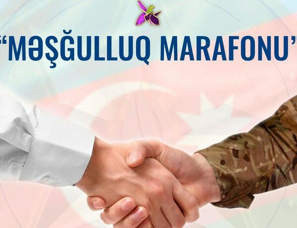 В рамках «Марафона занятости» обеспечены работой около 2,3 тыс. членов семей шехидов и участников войны