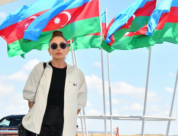 Мехрибан Алиева поделилась фото из Зангиланского района