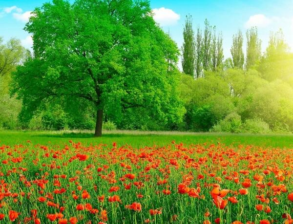 İyun ayının ilk gününə olan hava proqnozu açıqlandı