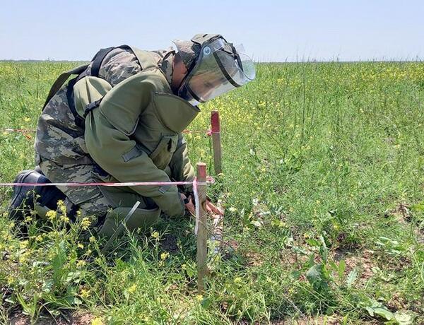 Минобороны АР обнародовало число уничтоженных мин на освобожденных территориях