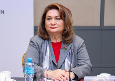 Komitə sədri: “Bir çox vətəndaş pulsuz hüquqi yardım imkanlarından xəbərsizdir”