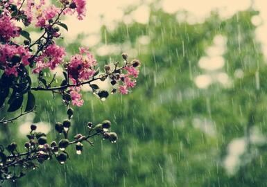 Azerbaijan weather forecast for June 13