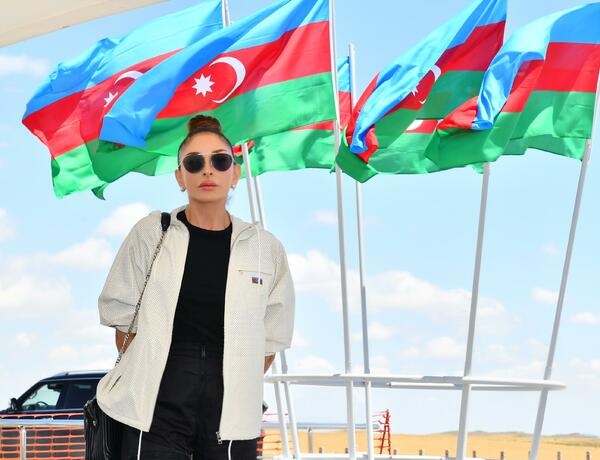 Сегодня день рождения Мехрибан Алиевой