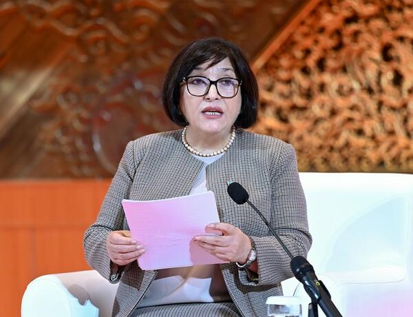 Сахиба Гафарова: Армения препятствует процессу открытия коммуникаций и транспортных путей в регионе