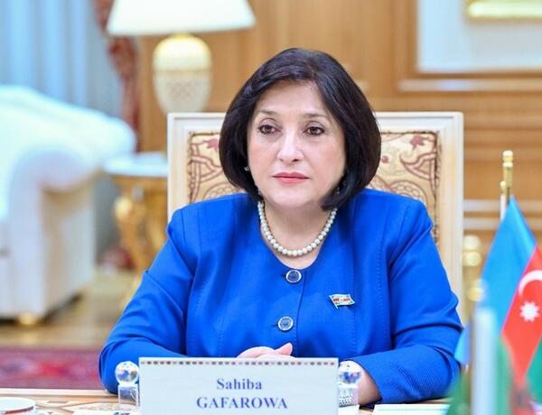 Спикер: Сотрудничество парламентских комитетов Азербайджана и Туркменистана внесет вклад в развитие отношений