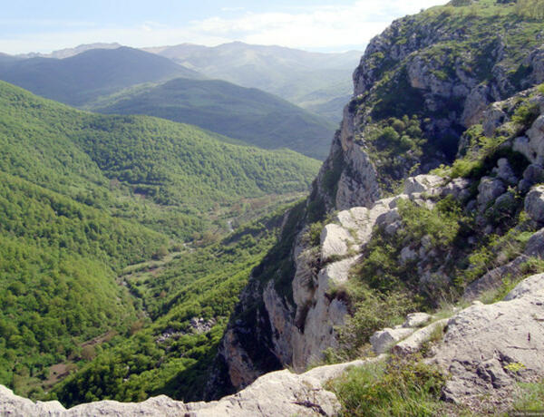 Topxana meşəsinin bərpasına başlanıb