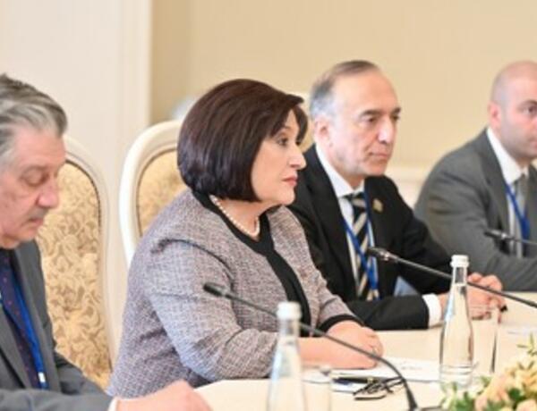 Сахиба Гафарова встретилась с Валентиной Матвиенко