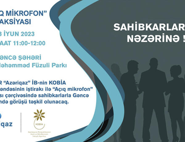 Sahibkarlarla növbəti görüş Gəncədə keçiriləcək