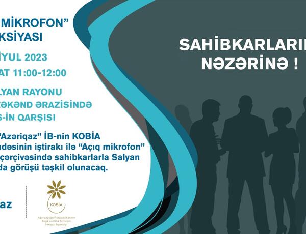 Sahibkarlarla növbəti görüş Salyanda keçiriləcək