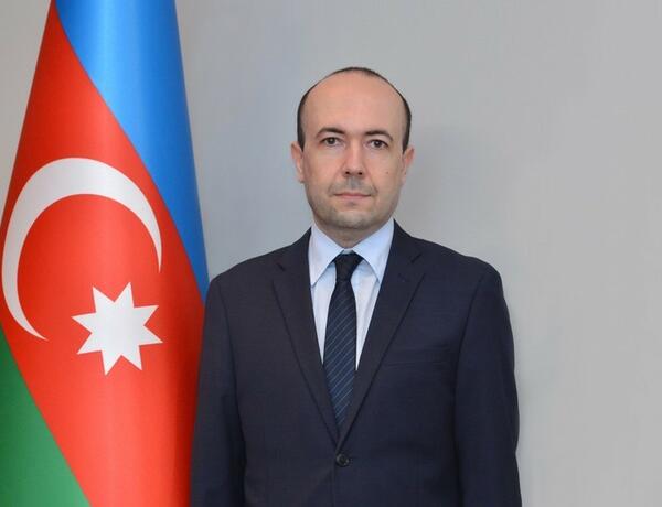 Замглавы МИД Азербайджана проинформировал австрийских чиновников о провокациях Армении