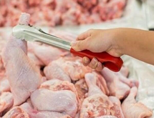 Bir sıra ölkələrdən quşçuluq məhsullarının idxalına məhdudiyyət qoyuldu